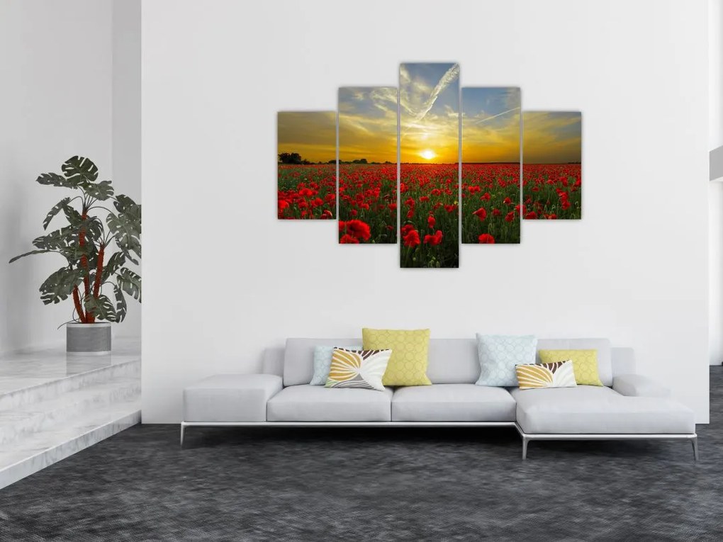Tablou cu câmp cu maci (150x105 cm)