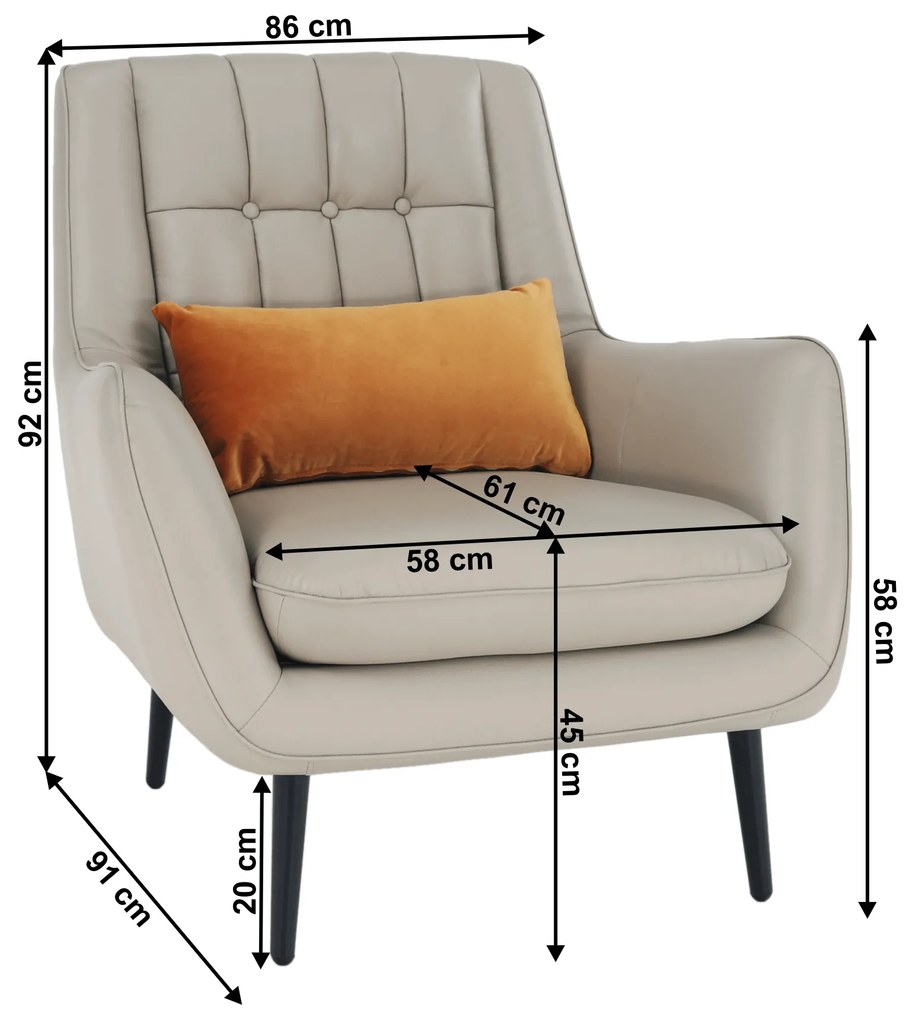 Fotoliu design, piele / piele ecologică, gri deschis / negru, LINSY