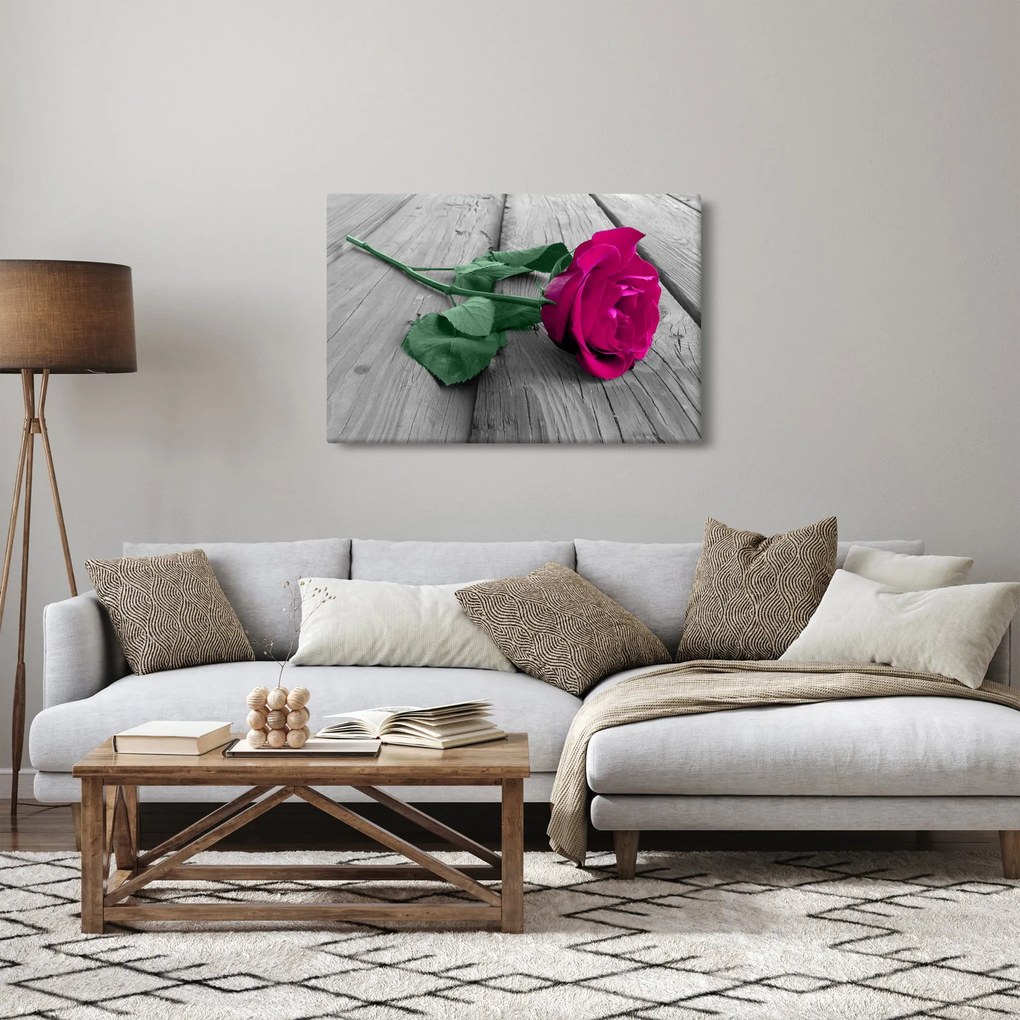 Tablou - Trandafir roz cu tulpina verde (90x60 cm)