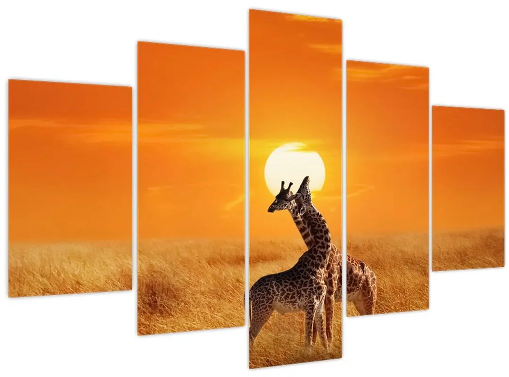 Tablou - Girafe în Parcul Național Serengeti (150x105 cm)