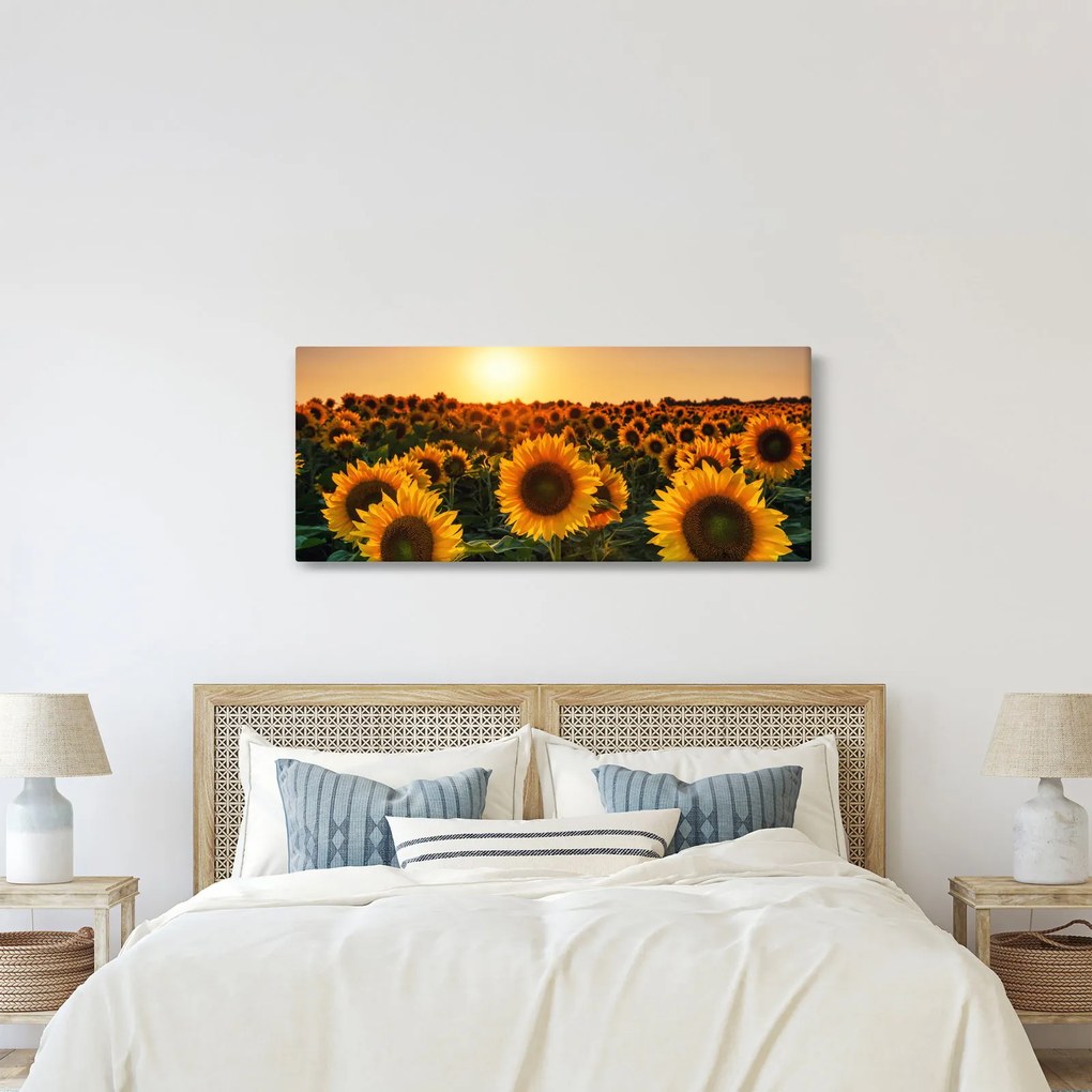 Tablou - Floarea soarelui (120x50 cm)