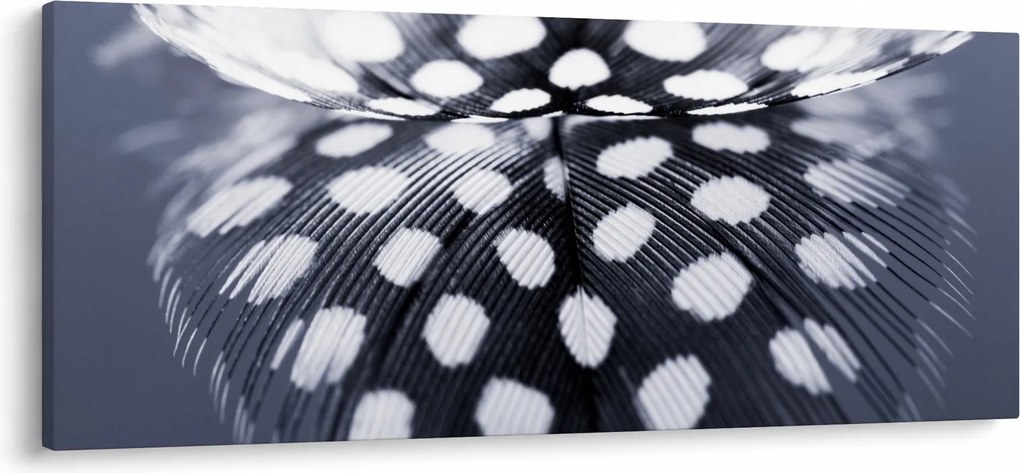 Tablou - Pană (120x50 cm)