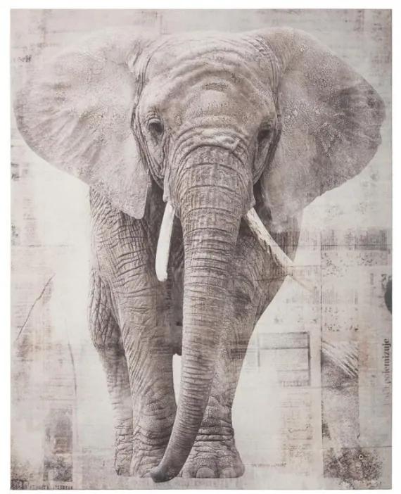 Tablou canvas Elefant, 38x48 cm