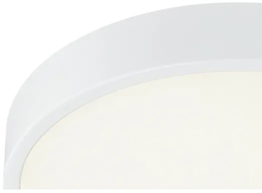 Globo 12364-30 - LED plafonieră dimabilă LED/28W/230V