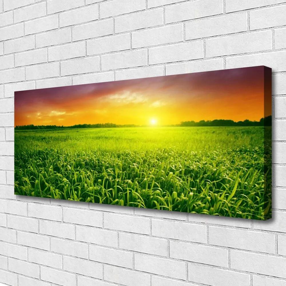 Tablou pe panza canvas Cereale Câmp Sunrise Floral Verde Roșu