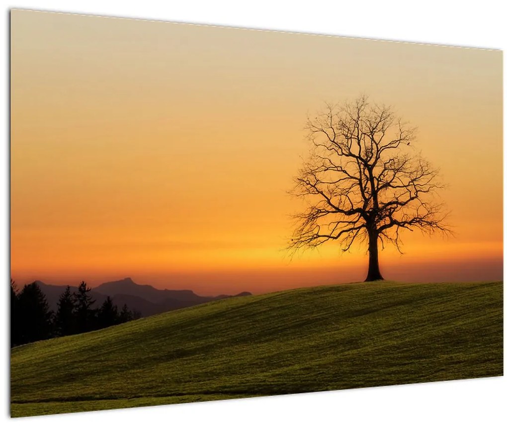 Tablou cu apus de soare pe o luncă (90x60 cm)