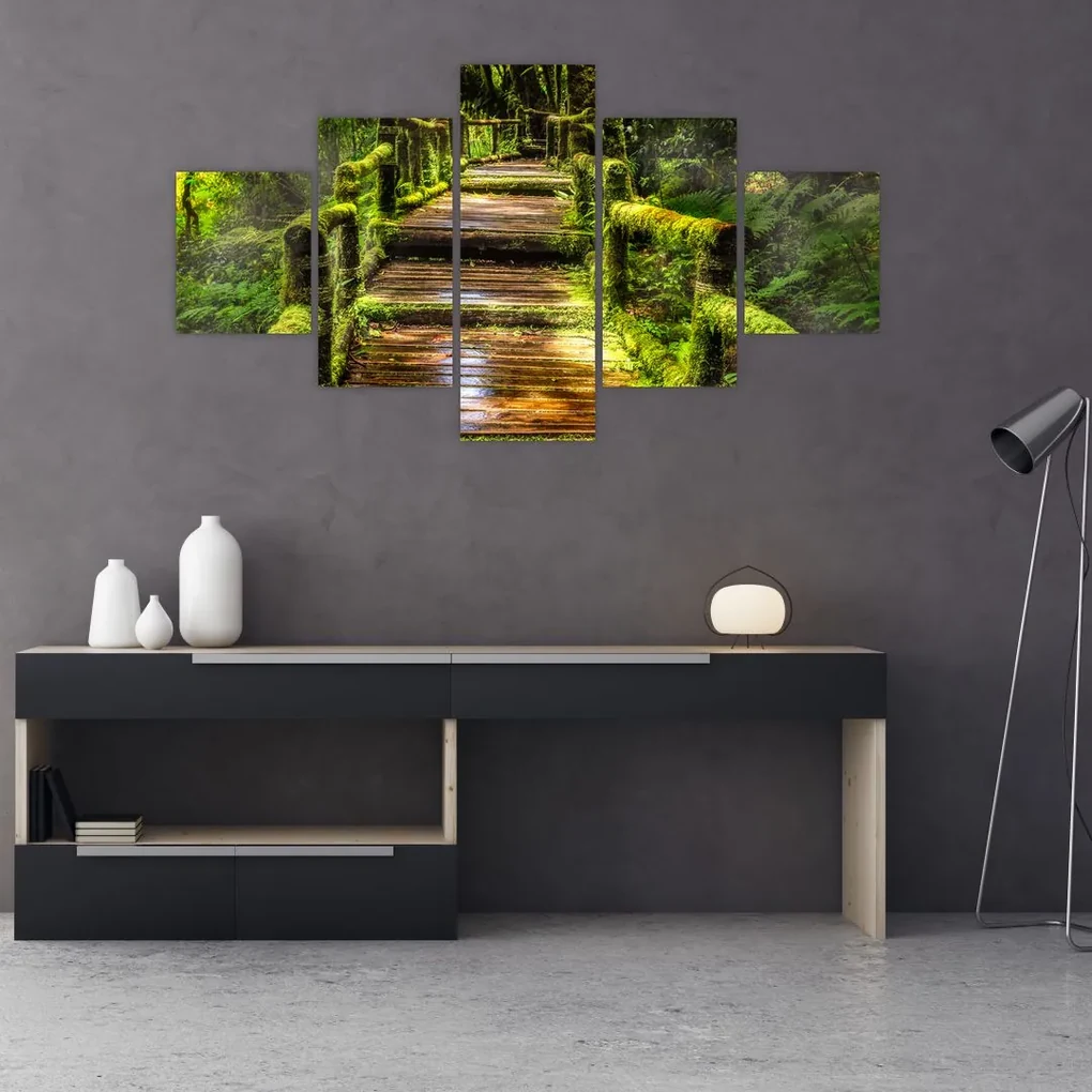 Tablou cu scări într-o pădure tropicală (125x70 cm), în 40 de alte dimensiuni noi