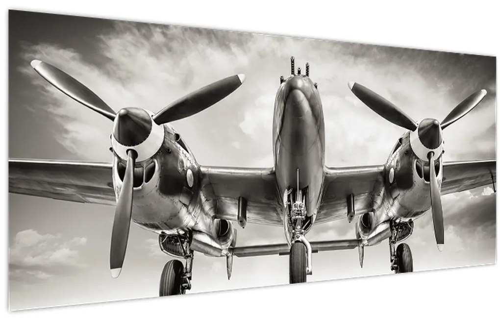 Tablou - Warbird (120x50 cm)