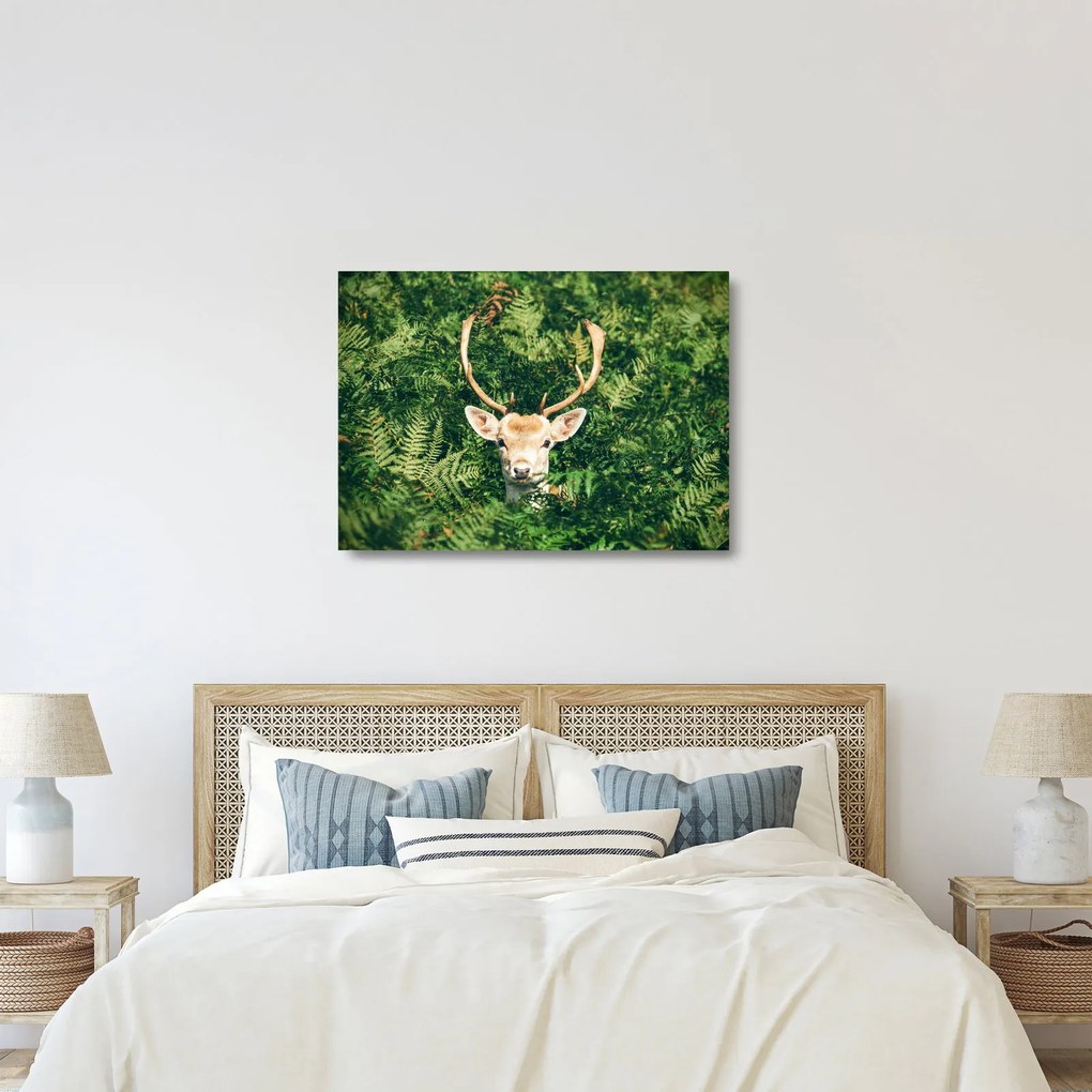 Tablou pe sticlă detaliu cu cap de căprioară (70x50 cm)