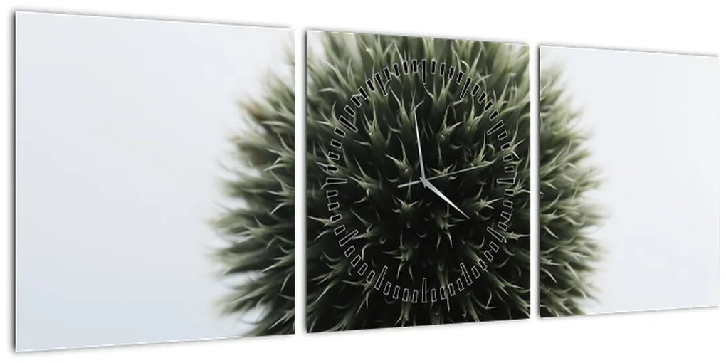 Tablou - Sfere de flori (cu ceas) (90x30 cm)