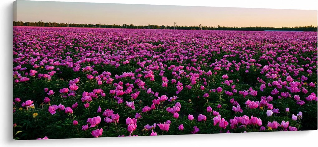 Tablou - Pajiștea cu lalele violet (120x50 cm)