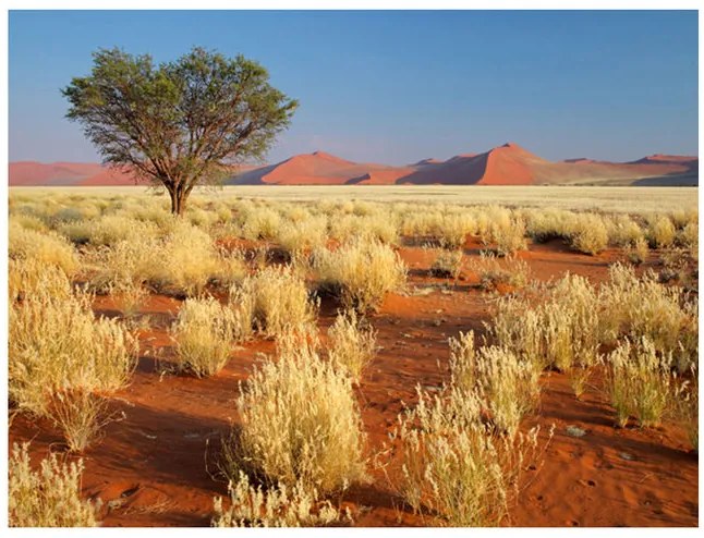 Fototapet - Desert landscape, Namibia