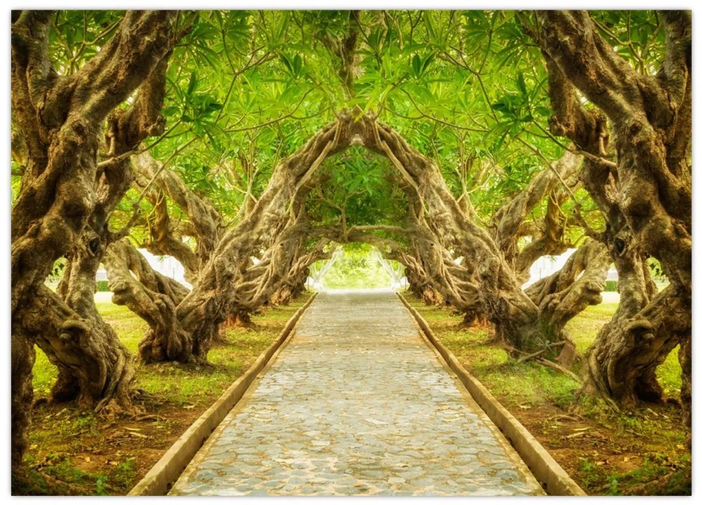Tablou pe sticlă - Tunel viu din plumeria (70x50 cm)