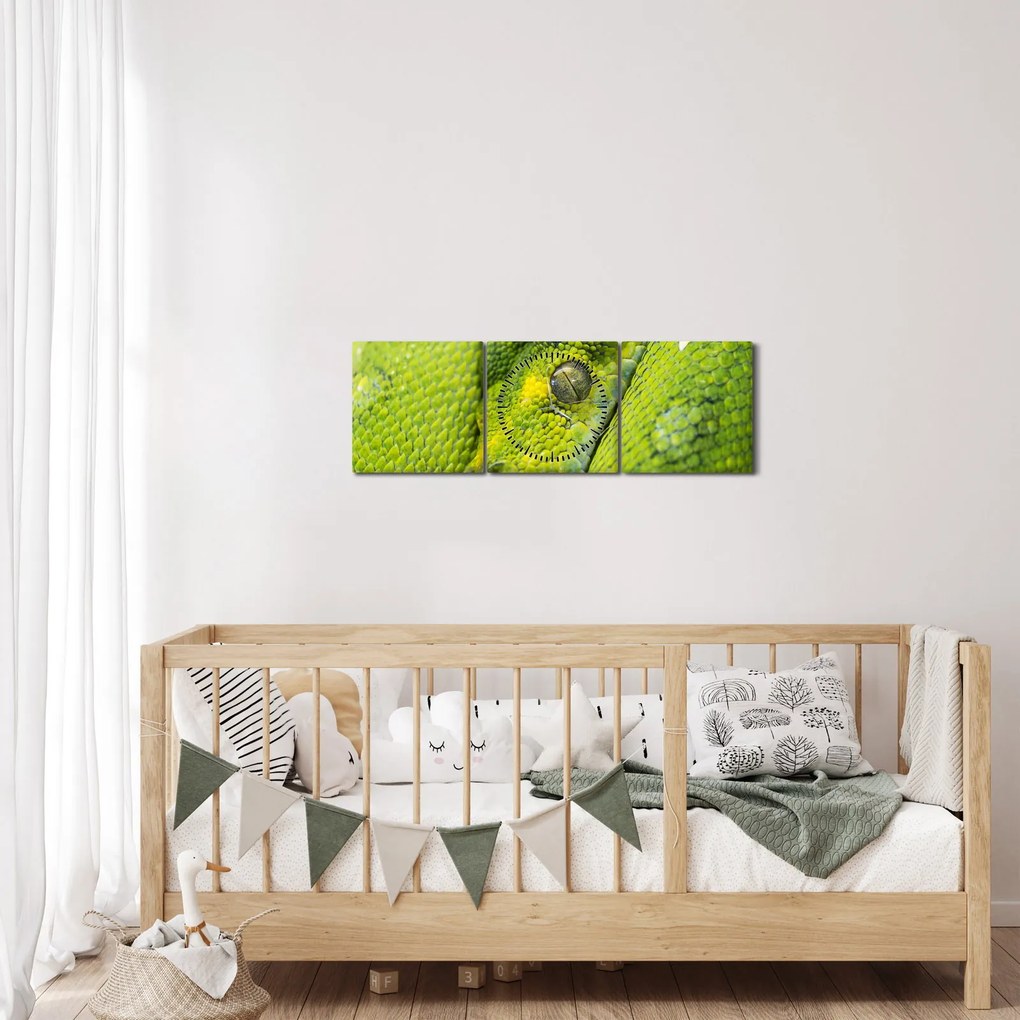 Tablou cu șarpe (cu ceas) (90x30 cm)