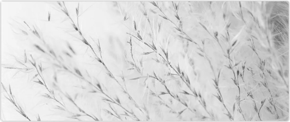 Tablou - Iarbă de pampas N⁰2 (120x50 cm)