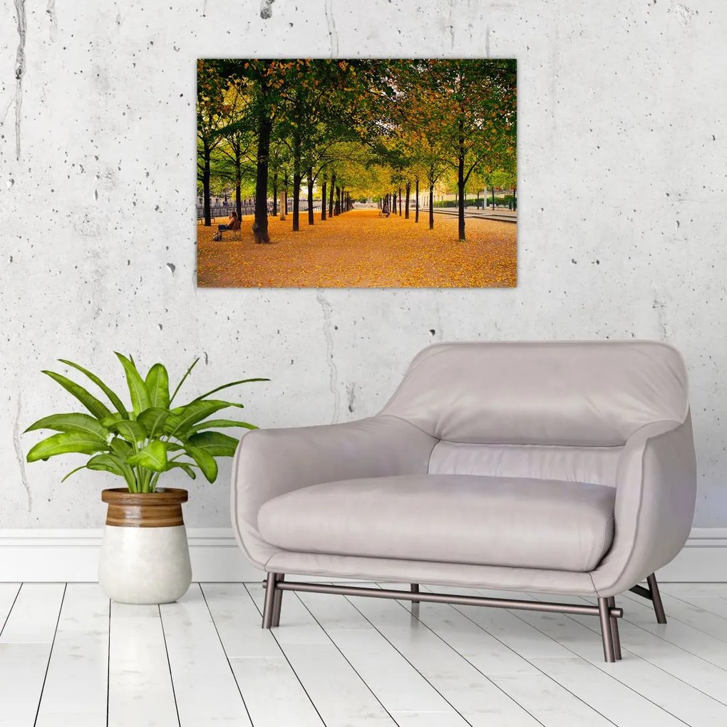 Tablou cu alee cu copaci în toamnă (70x50 cm)
