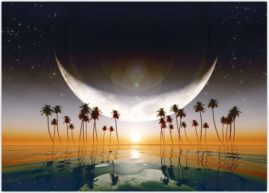 Tablou- Luna deasupra palmierilor (70x50 cm)