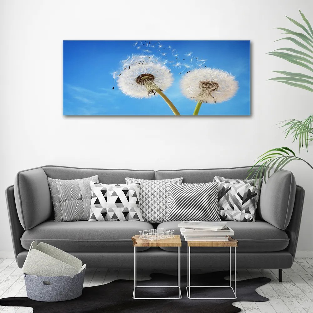 Print pe canvas Păpădia