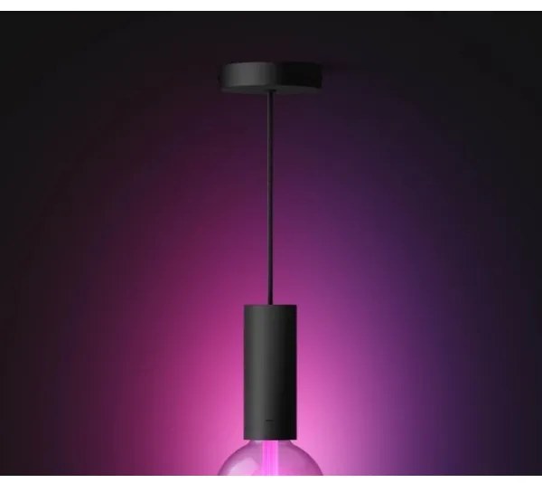 Lustră pe cablu Hue GUIDE 1xE27/60W/230V Philips