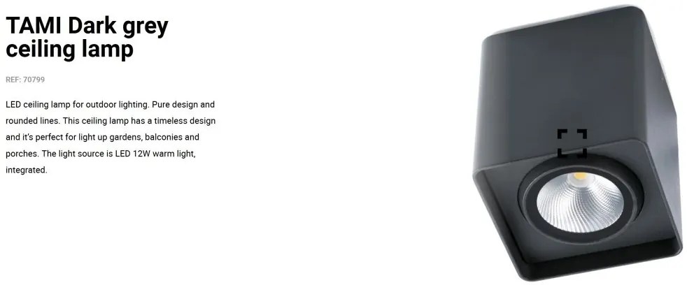 Spot aplicat / Plafoniera LED de exterior moderna IP54 TAMI gri inchis