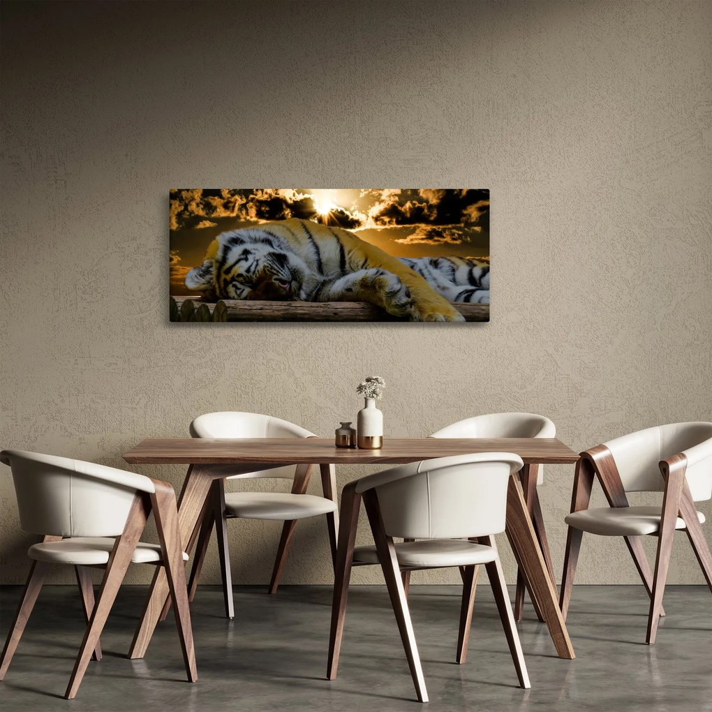 Tablou tigrul dormind (120x50 cm)