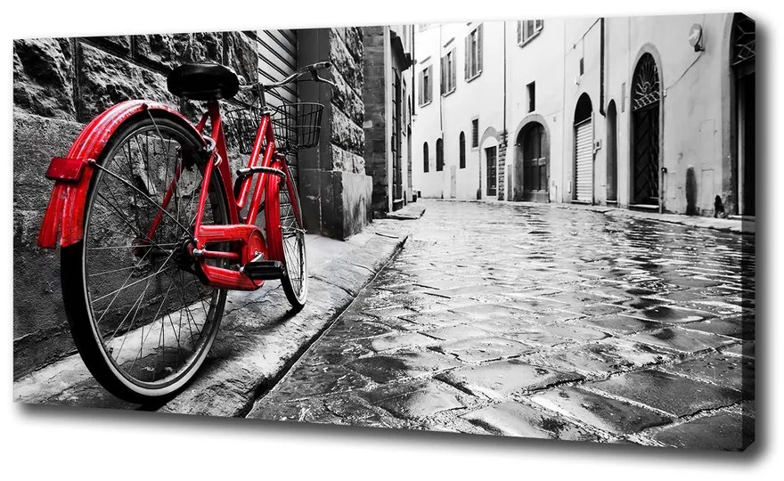 Pictură pe pânză Bicicletă roșie