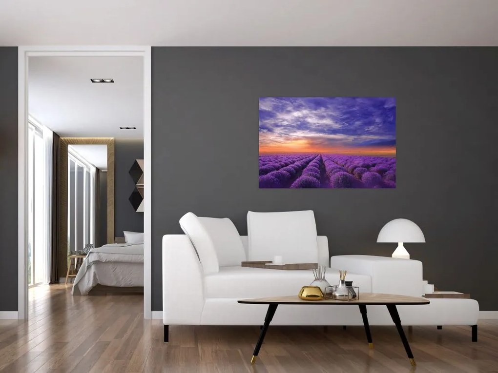 Tablou câmpului cu lavandă (90x60 cm)