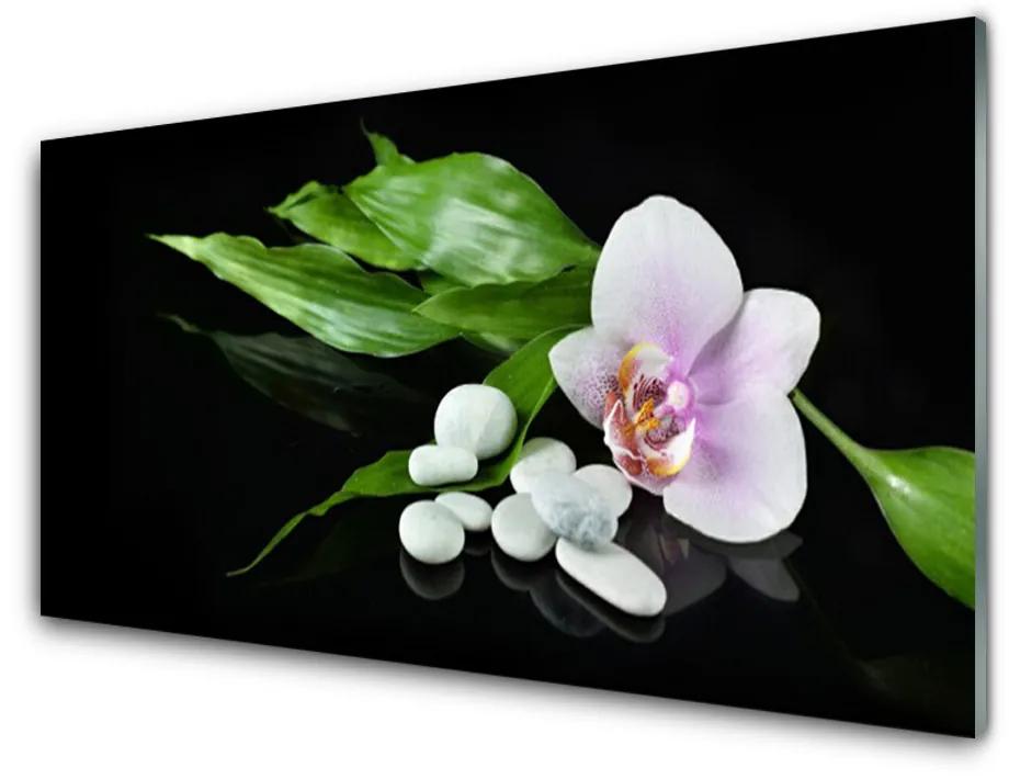 Tablouri acrilice Pietrele de flori Frunze Floral Alb Roz Verde Negru