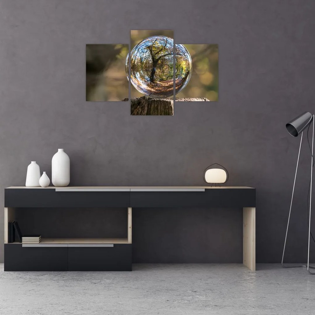 Tablou - Reflecție intr-o sferă transparentă (90x60 cm)