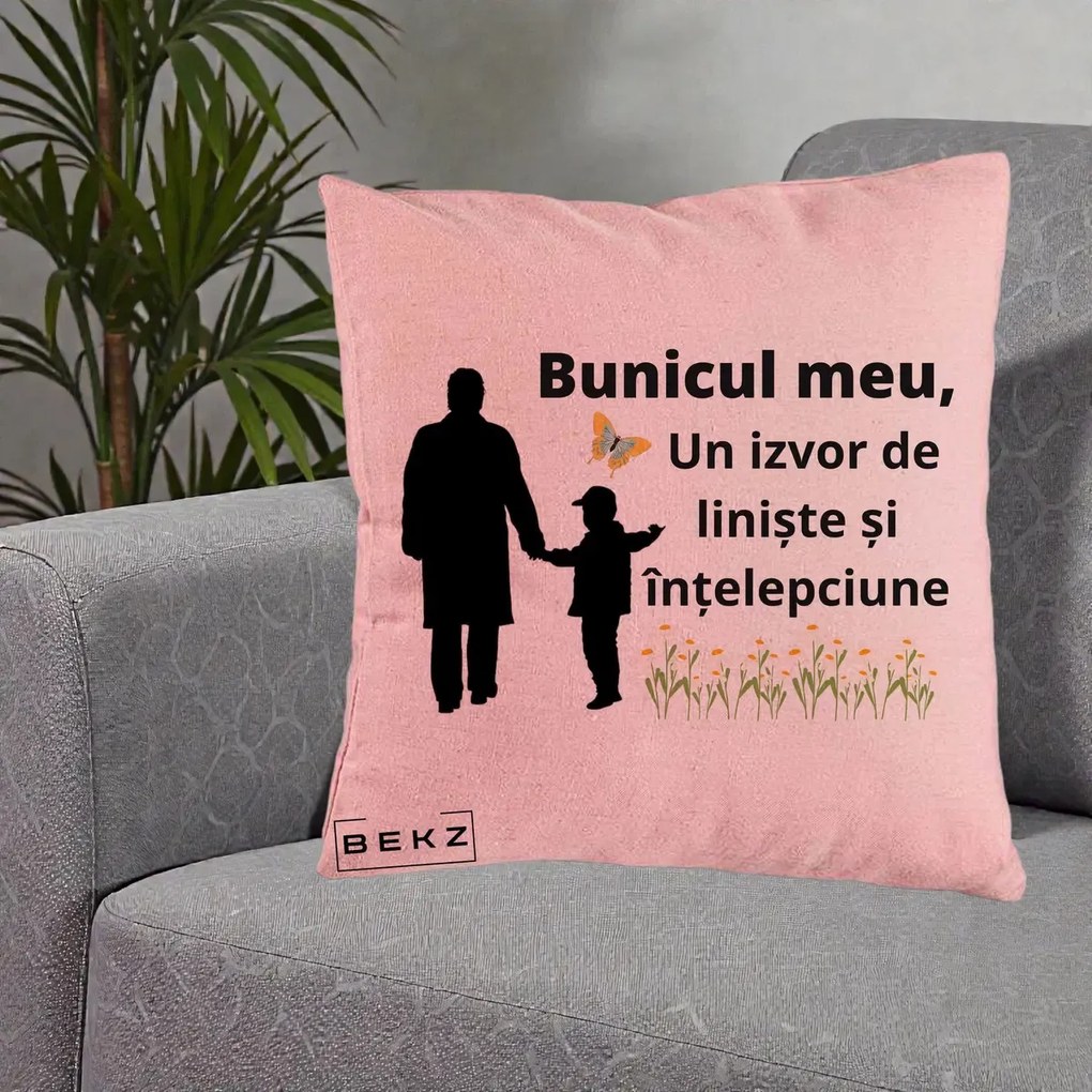 Cadou pentru Bunic - Perna Personalizata Bunicul Meu Izvor de Liniste cu Fluture si Baietel, 40x40 cm, Roz, Husa Detasabila, Perna Inclusa, BEKZ®