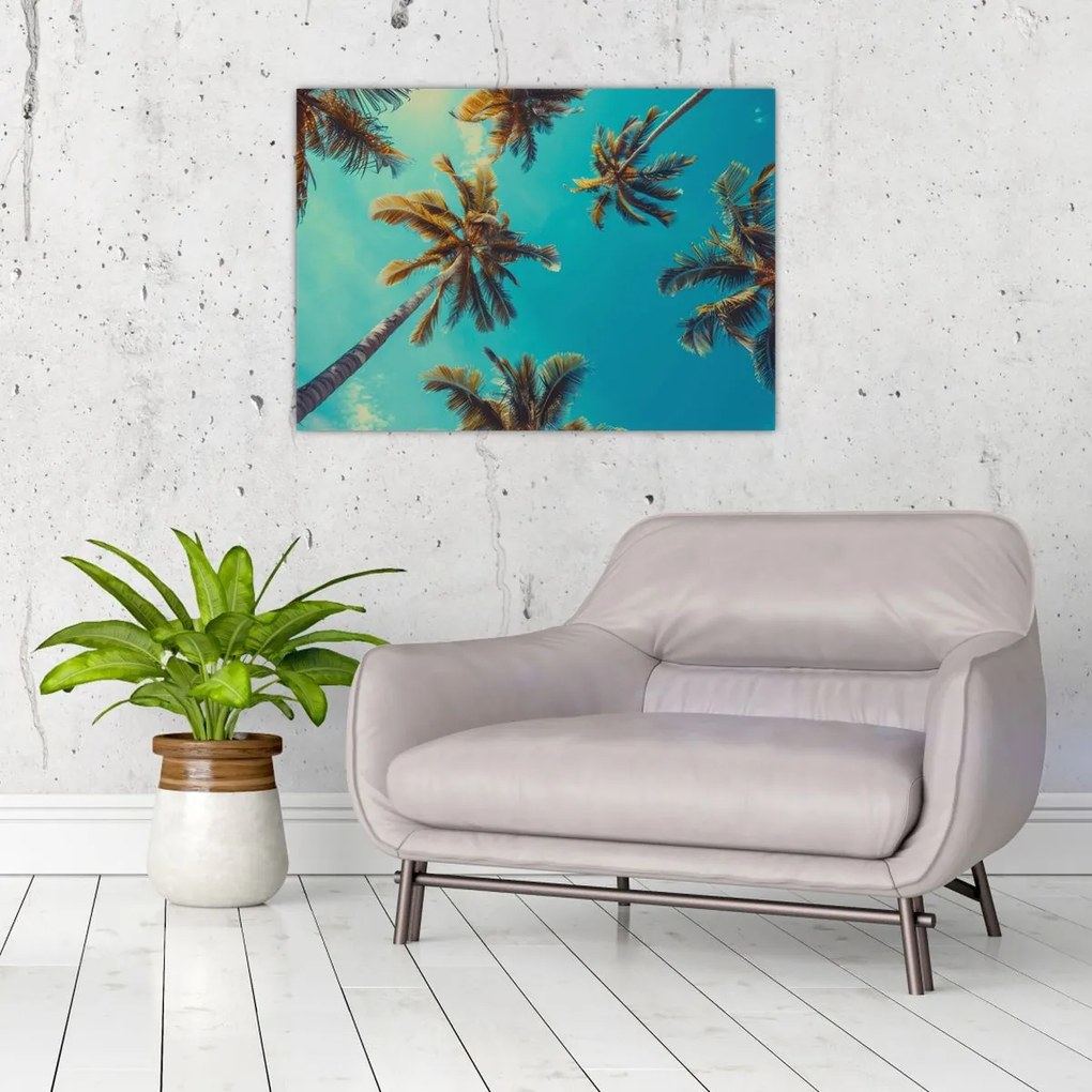 Tablou - Palmieri înalți (70x50 cm)
