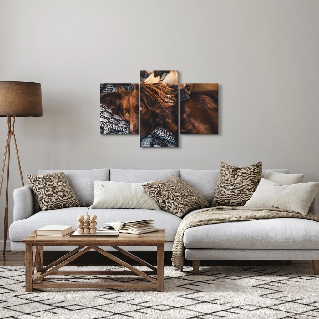 Tablou cu câini dormind (90x60 cm)