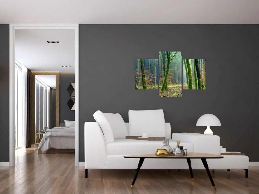 Tablou cu pădure (90x60 cm)
