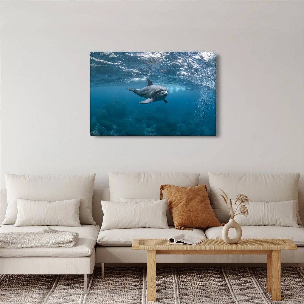 Tablou - Delfin sub apă (90x60 cm)