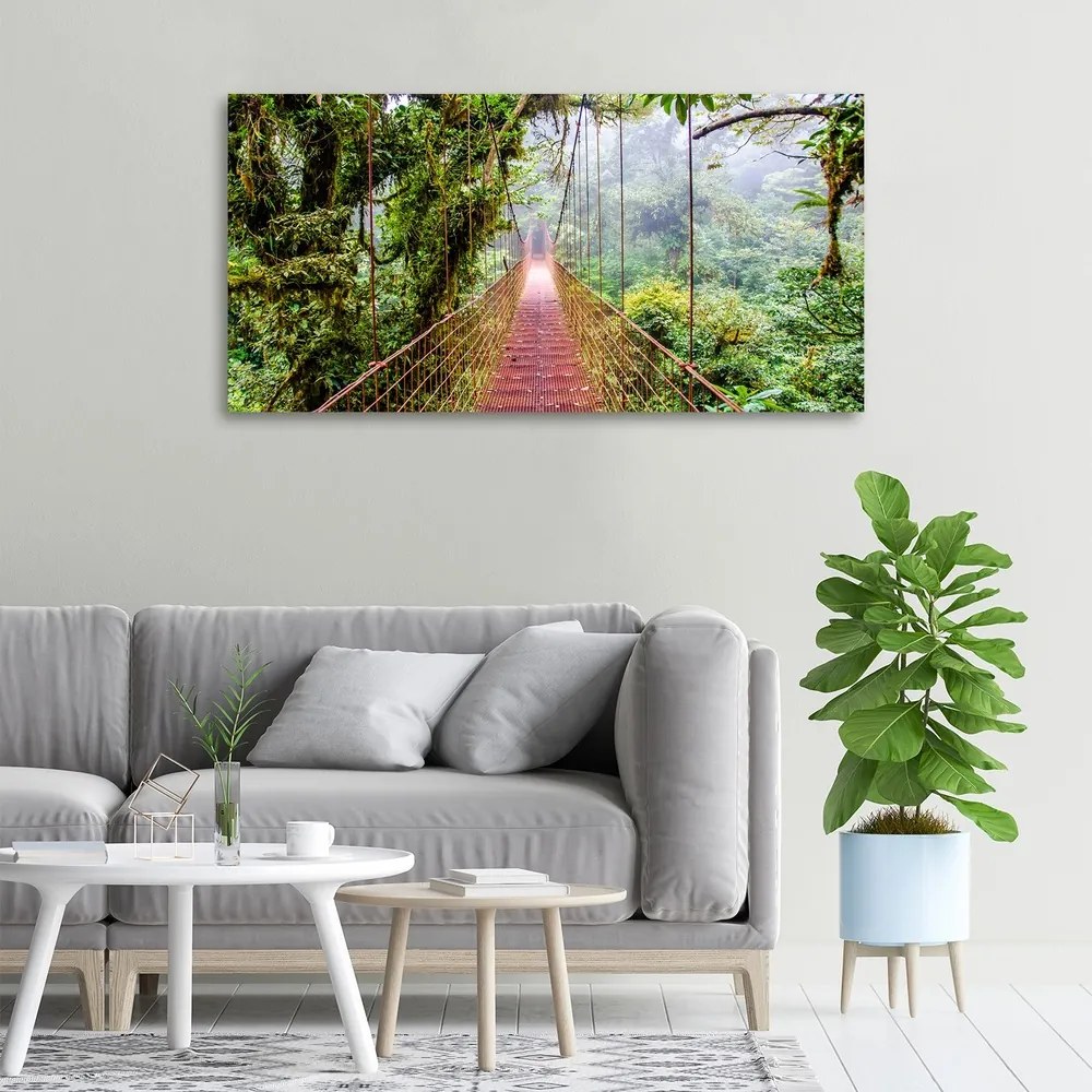 Print pe canvas Bridge în tropice