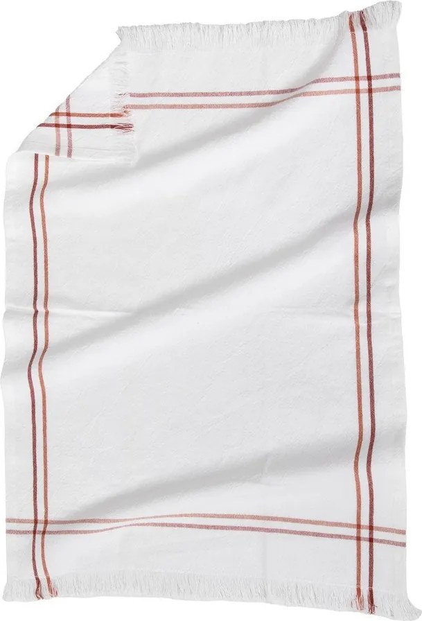 Prosoape de vase 3 buc. din bumbac 50x70 cm Cavendish – Tiseco Home Studio