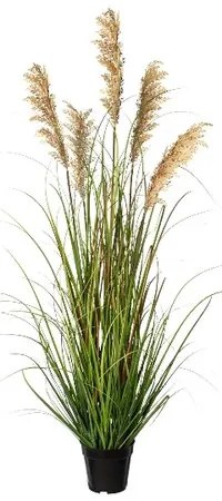 Iarbă artificială Proso, 122 cm, verde-maro