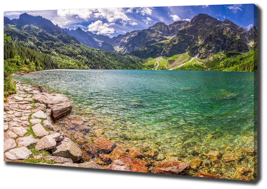 Print pe pânză Marine ochi tatry