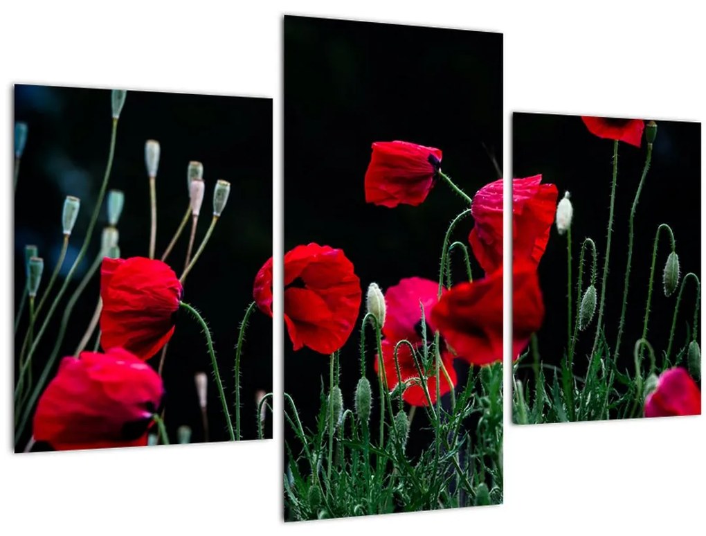 Tablou - Dansul macilor (90x60 cm)