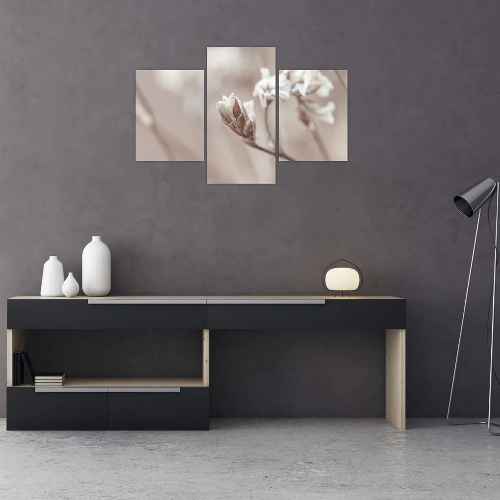 Tablou - Detaliu ramură (90x60 cm)