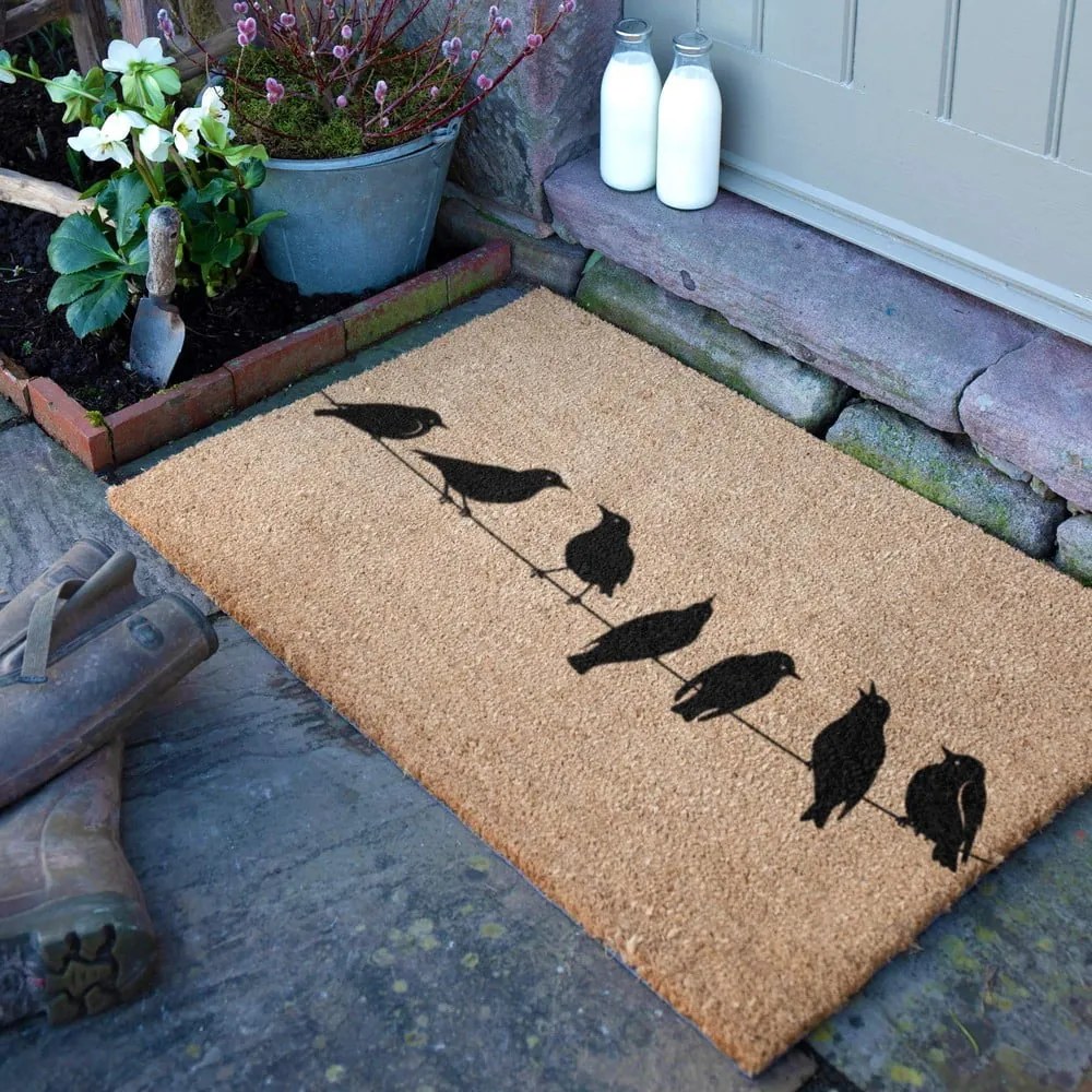 Covoraș de intrare din fibre de nucă de cocos 40x60 cm Birds On a Wire – Artsy Doormats
