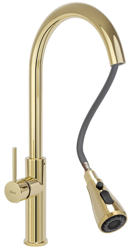 Baterie de bucătărie Rea Nest Gold
