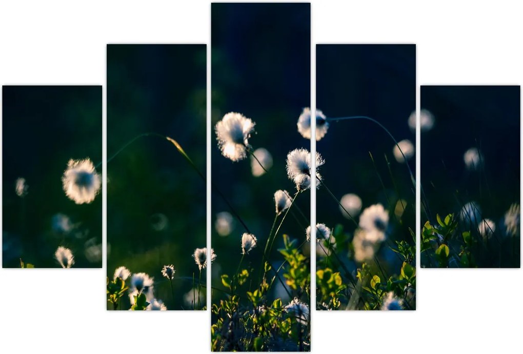 Tablou - Iarbă (150x105 cm)
