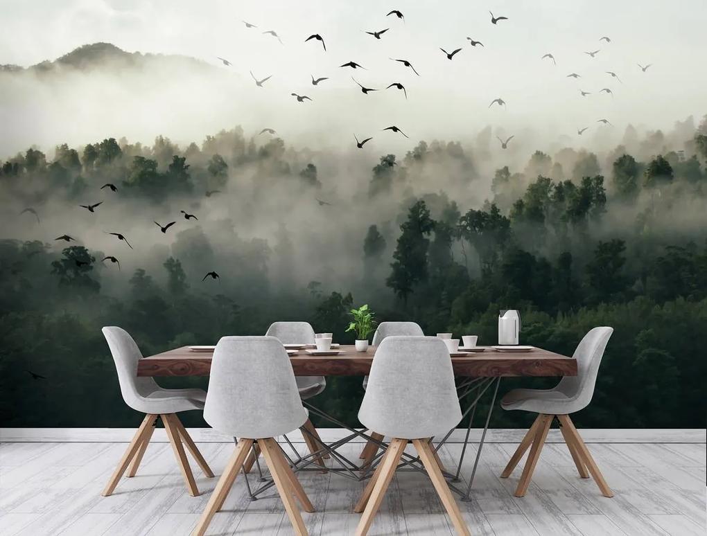 Fototapet - Păsări, pădure și ceață (152,5x104 cm), în 8 de alte dimensiuni noi