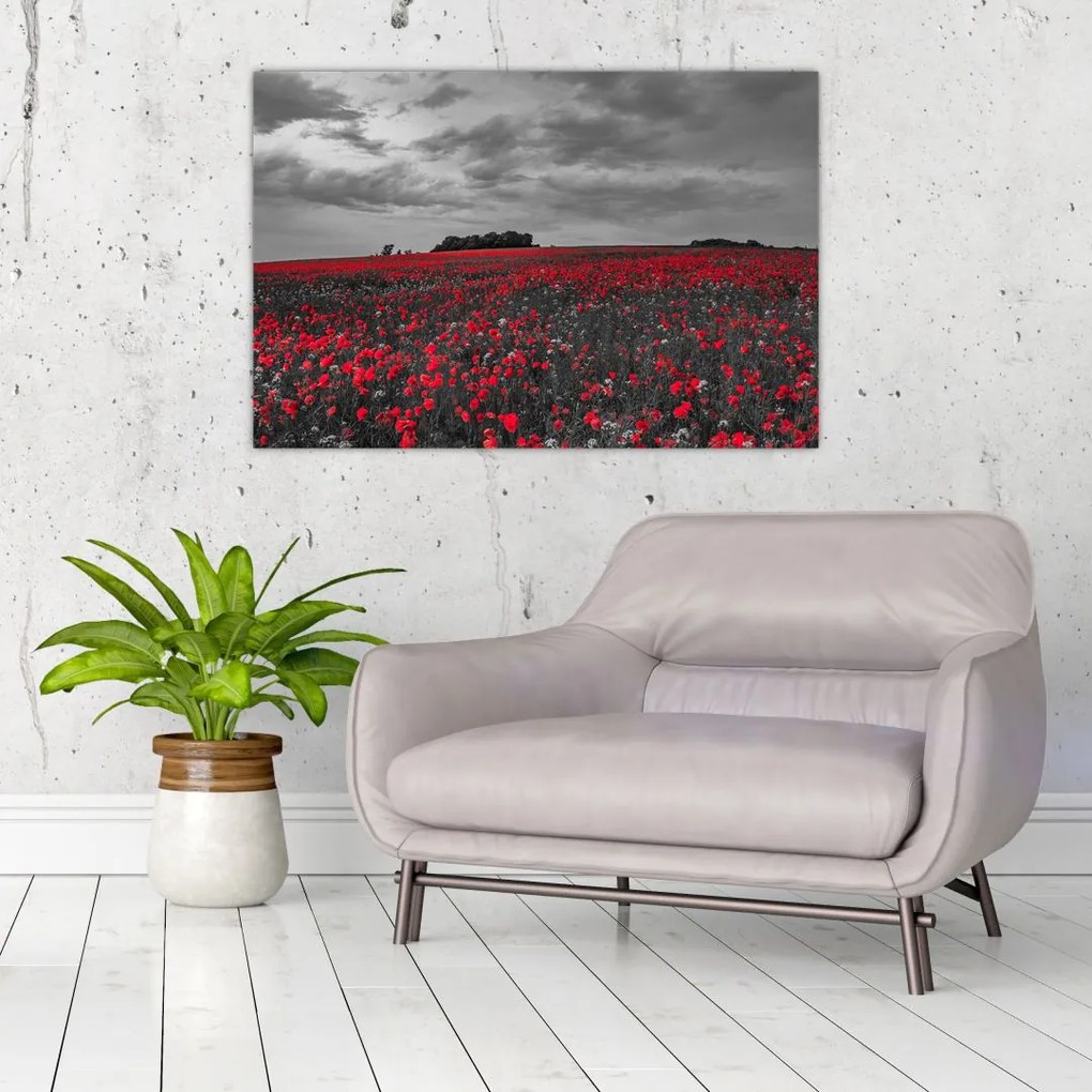 Tablou cu maci (90x60 cm)