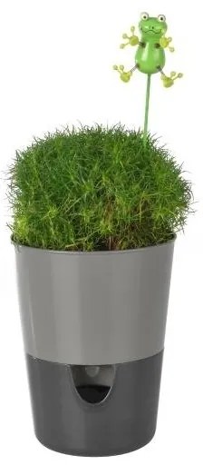 Ghiveci cu auto-irigare Plastia Rosmarin, gri