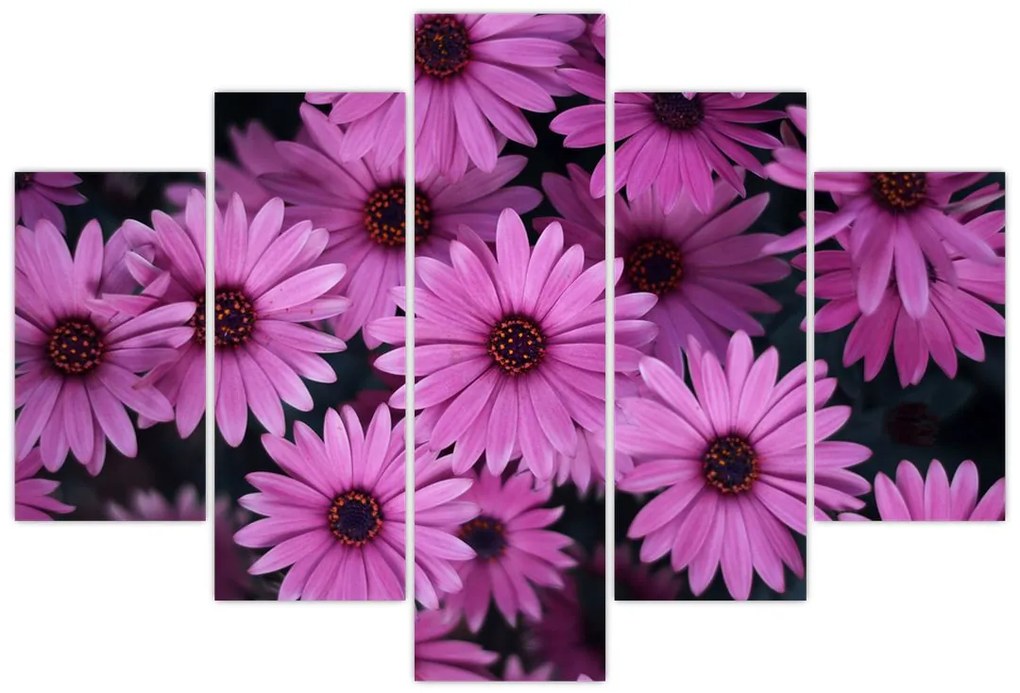 Tablou cu florile roz (150x105 cm)