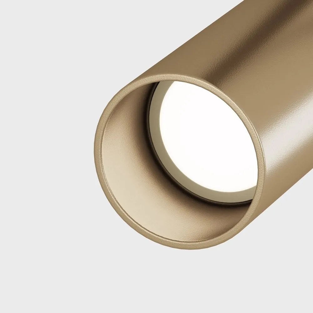 Spot, accesoriu pentru sinele monofazate Unity, Elti negru cu auriu