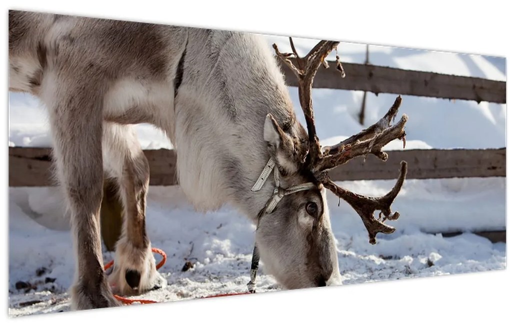 Tablou - Sâmbătă (120x50 cm)