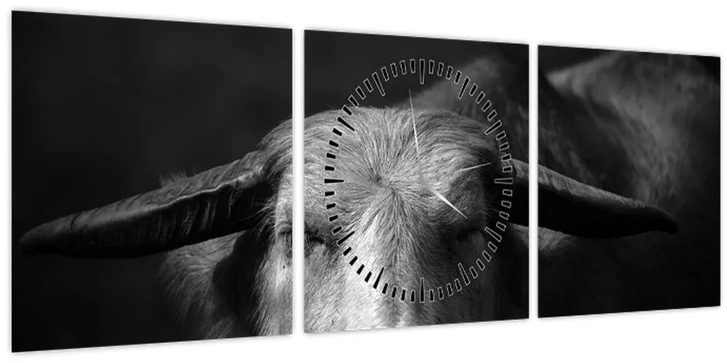 Tablou - Vacă (cu ceas) (90x30 cm)